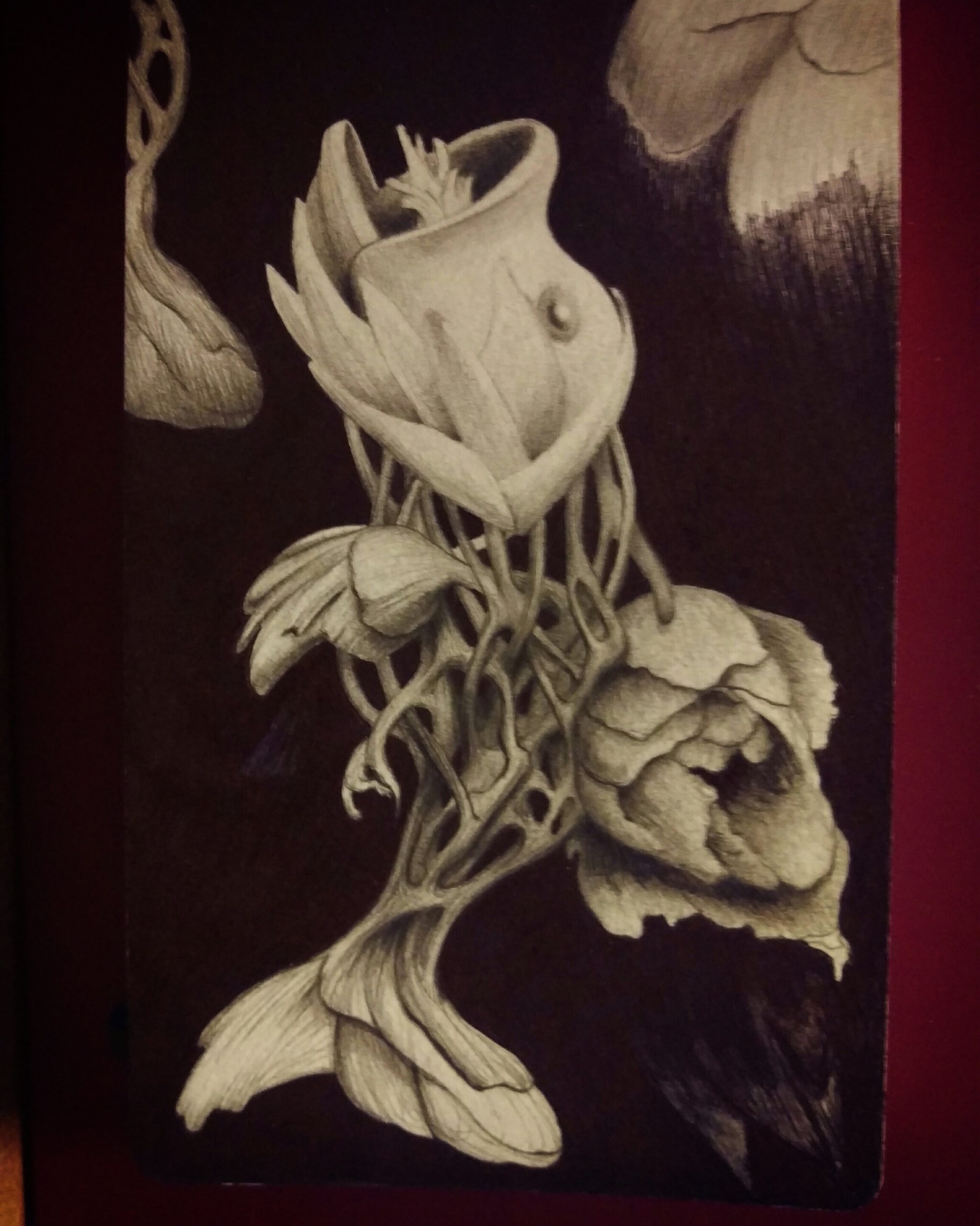 “Adaptation”