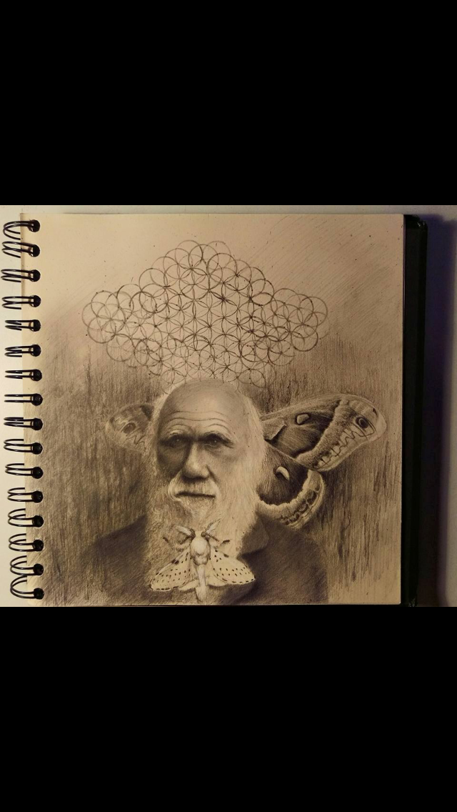 “Evolution & the Flower of Life”