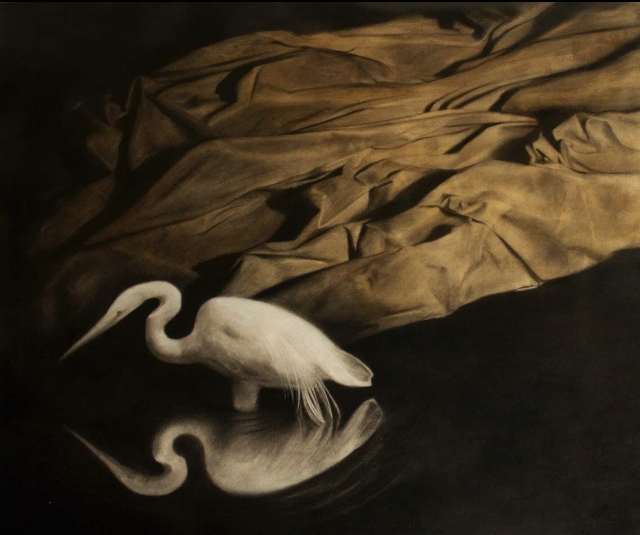 “Elation & Morphine”