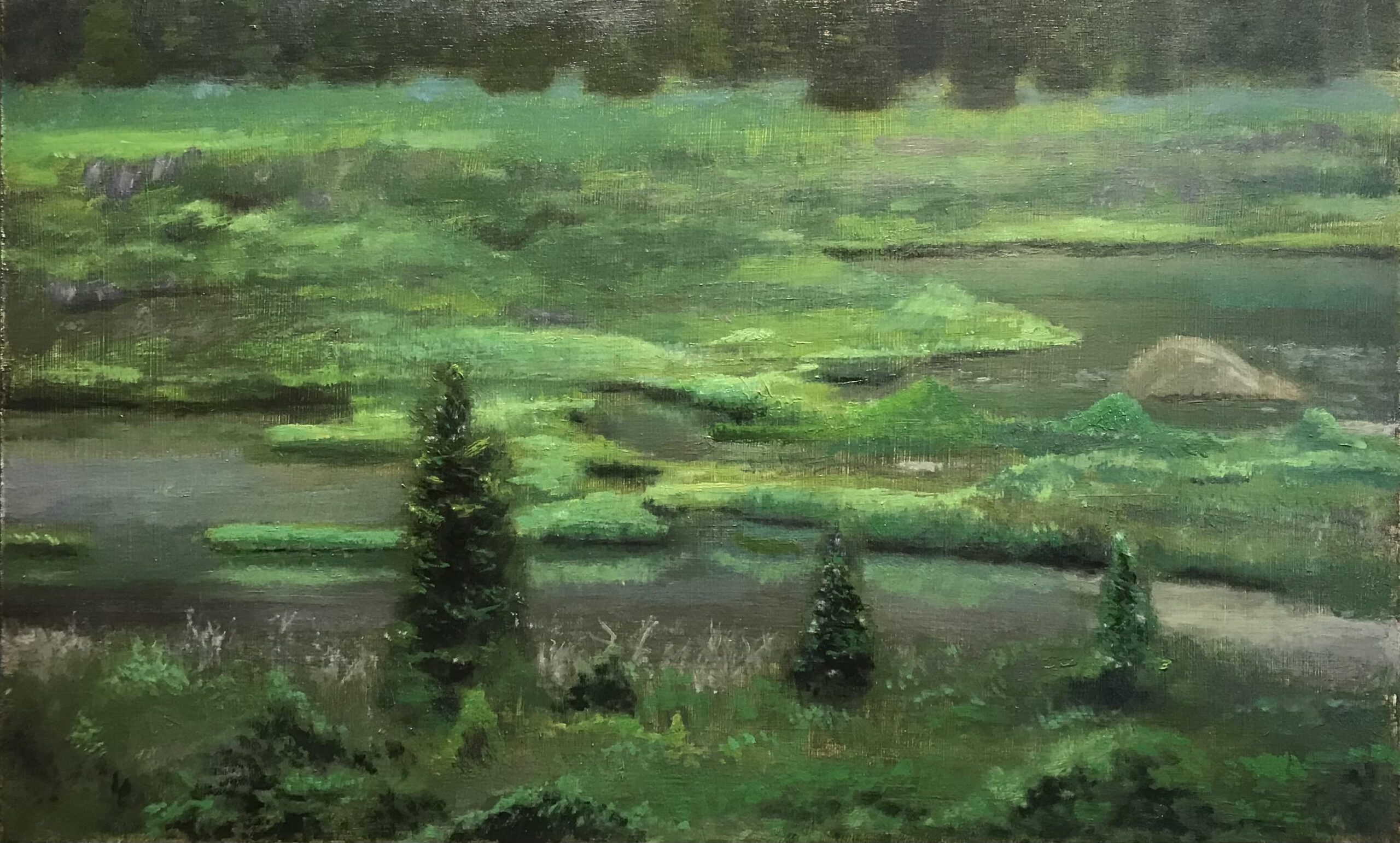 "Mineral Creek"