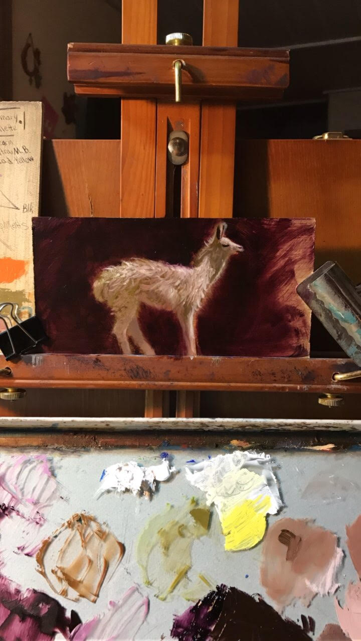 Study of Stella